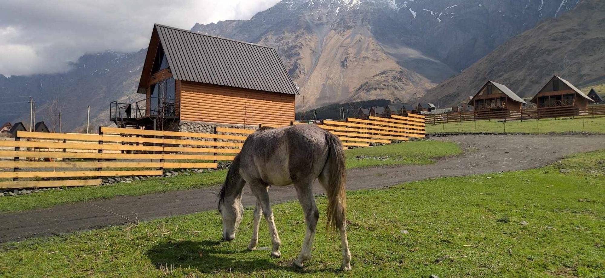 Traveler'S Cottages In Kazbegi Екстер'єр фото